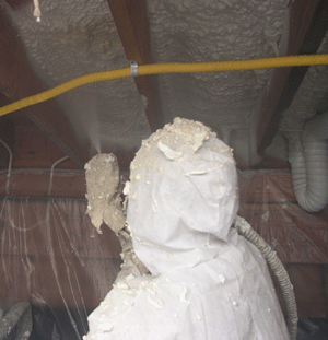 Fredericton New Brunsw crawl space insulation